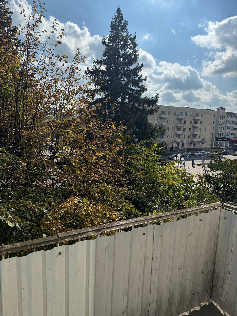 Вид из окна — Ленина, 1